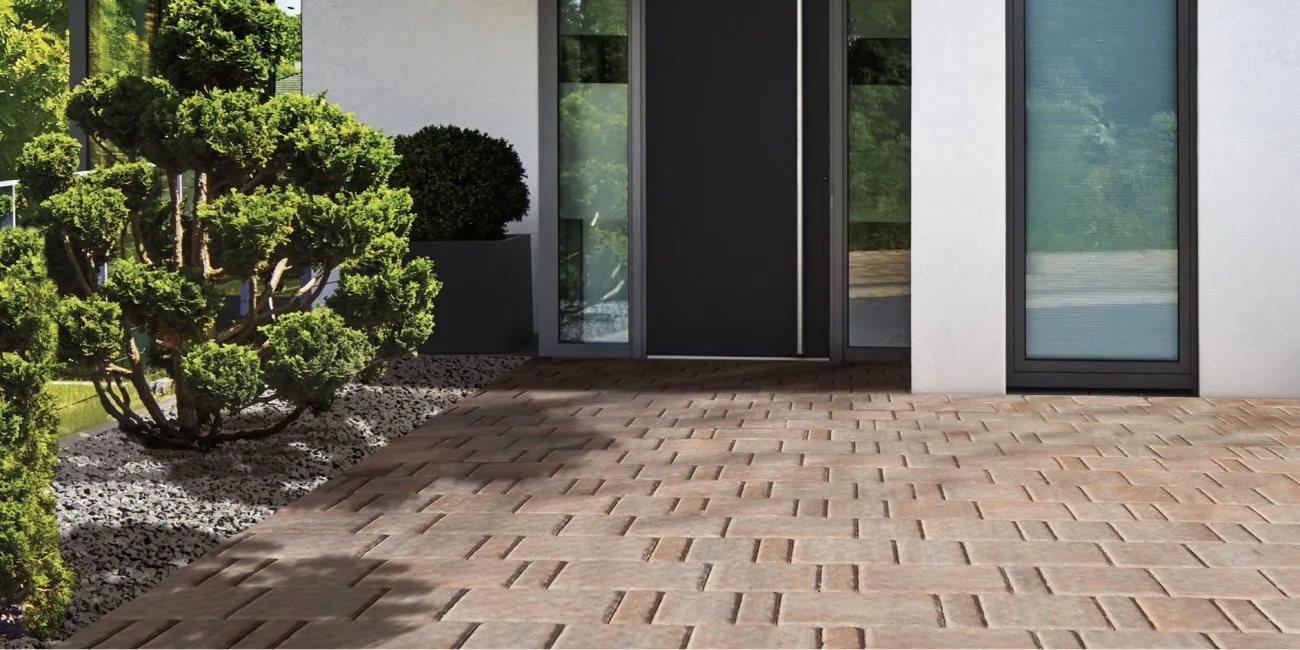 2521r85631300ocropped943mm19_9781885_texxa-limestone-foglia-dautunnotexxa_limestone_foglia_autunno_adobestock_368035843_bassajpgjpg