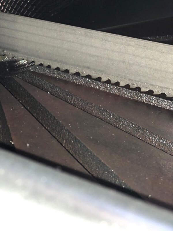 IMG-20190222-WA0004-600x800