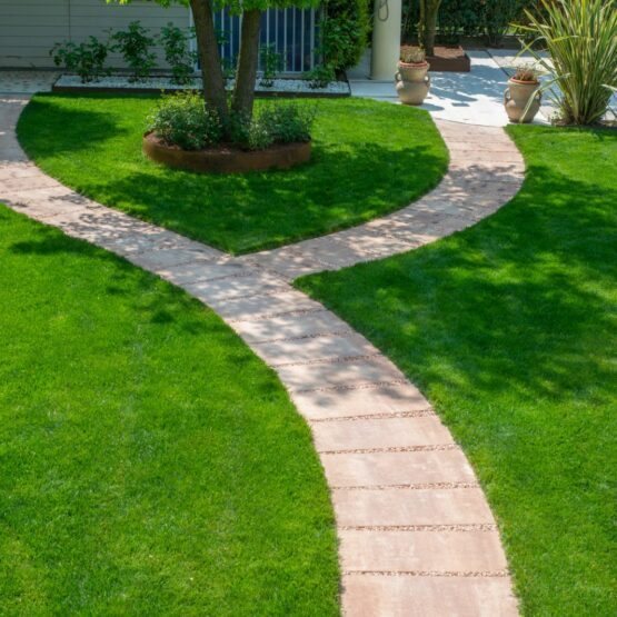 WhatsApp-Image-2020-05-02-at-170046-2-555x555-c-default