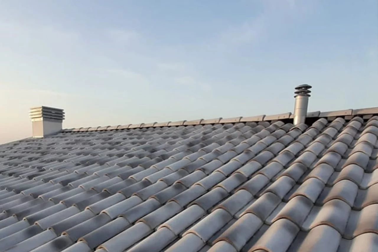 l_tettoidentit-e20ed67f