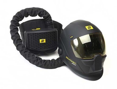 mut9048885664578907759