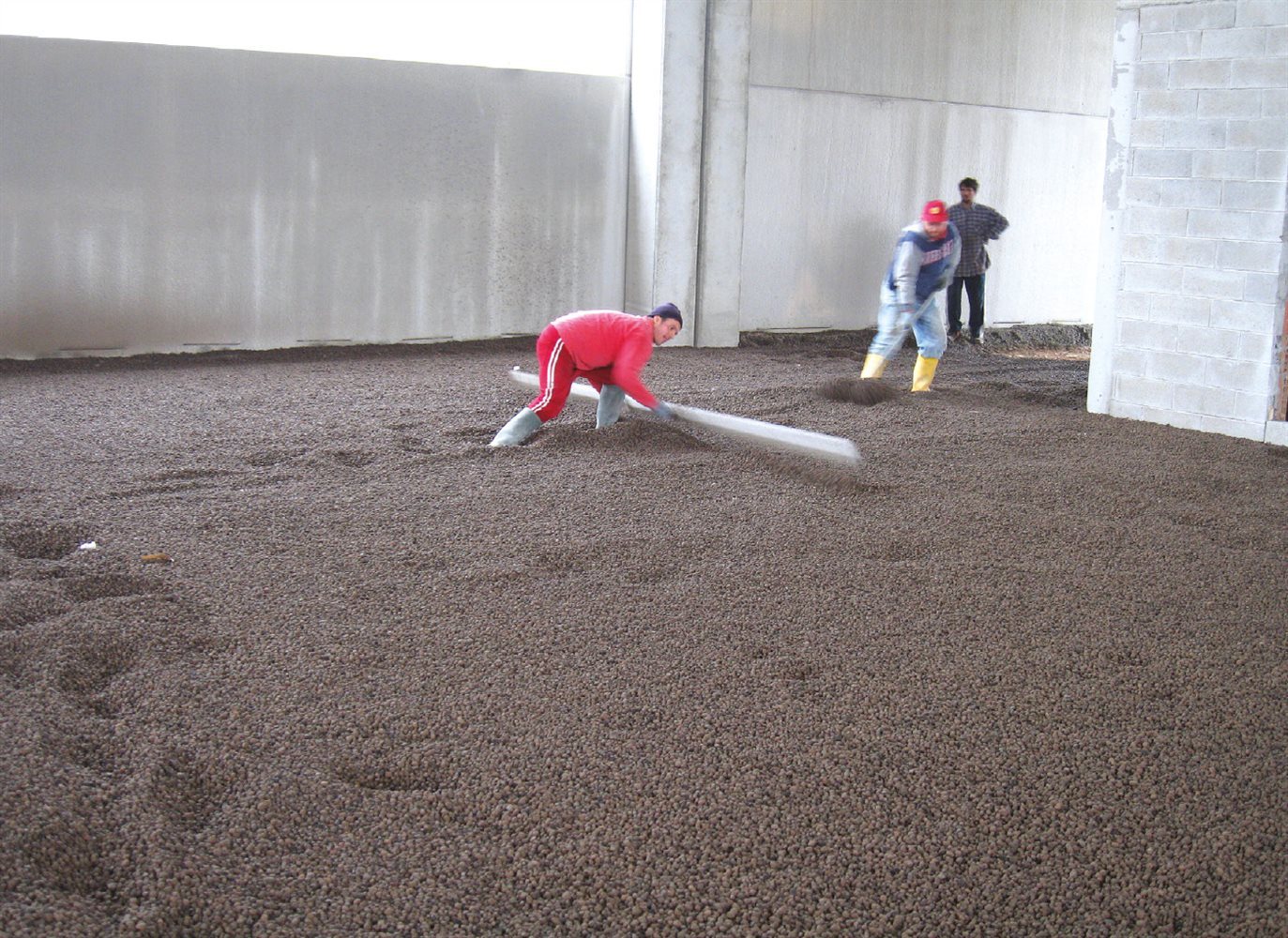 staggiatura-leca-termopi-edificio-industriale-AE1