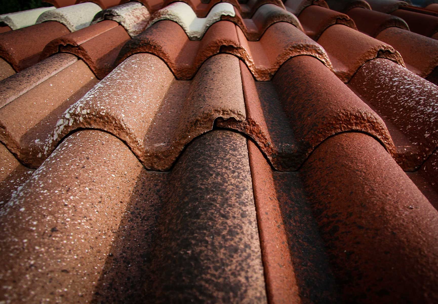 tegole_coppi_coperture_tetti_colorati_antichiati(0)