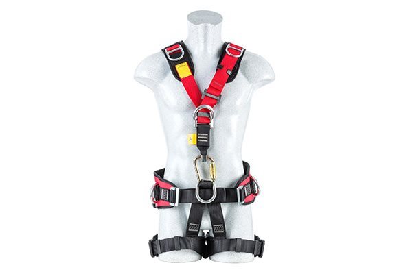 xlinea-vita-07jpgpagespeediczoTHwnTsvp