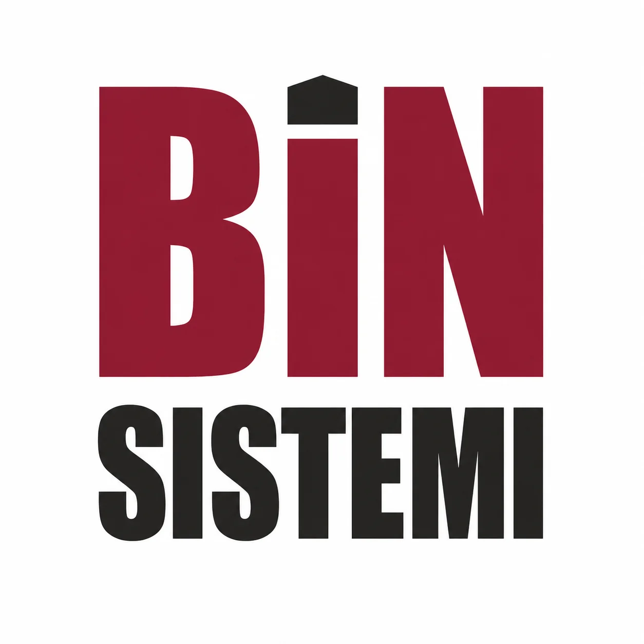 BIN SISTEMI